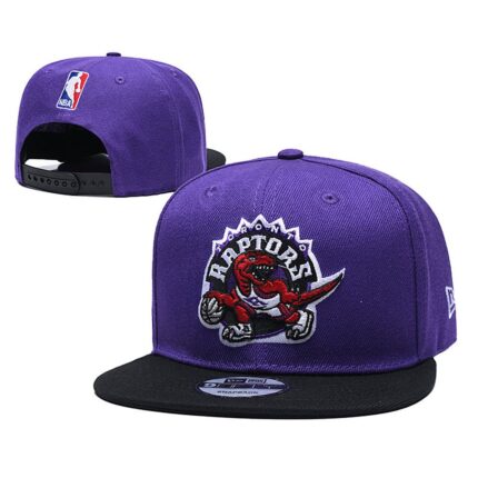 Toronto Raptors Snapback Hat